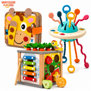 Best Seller Bundle