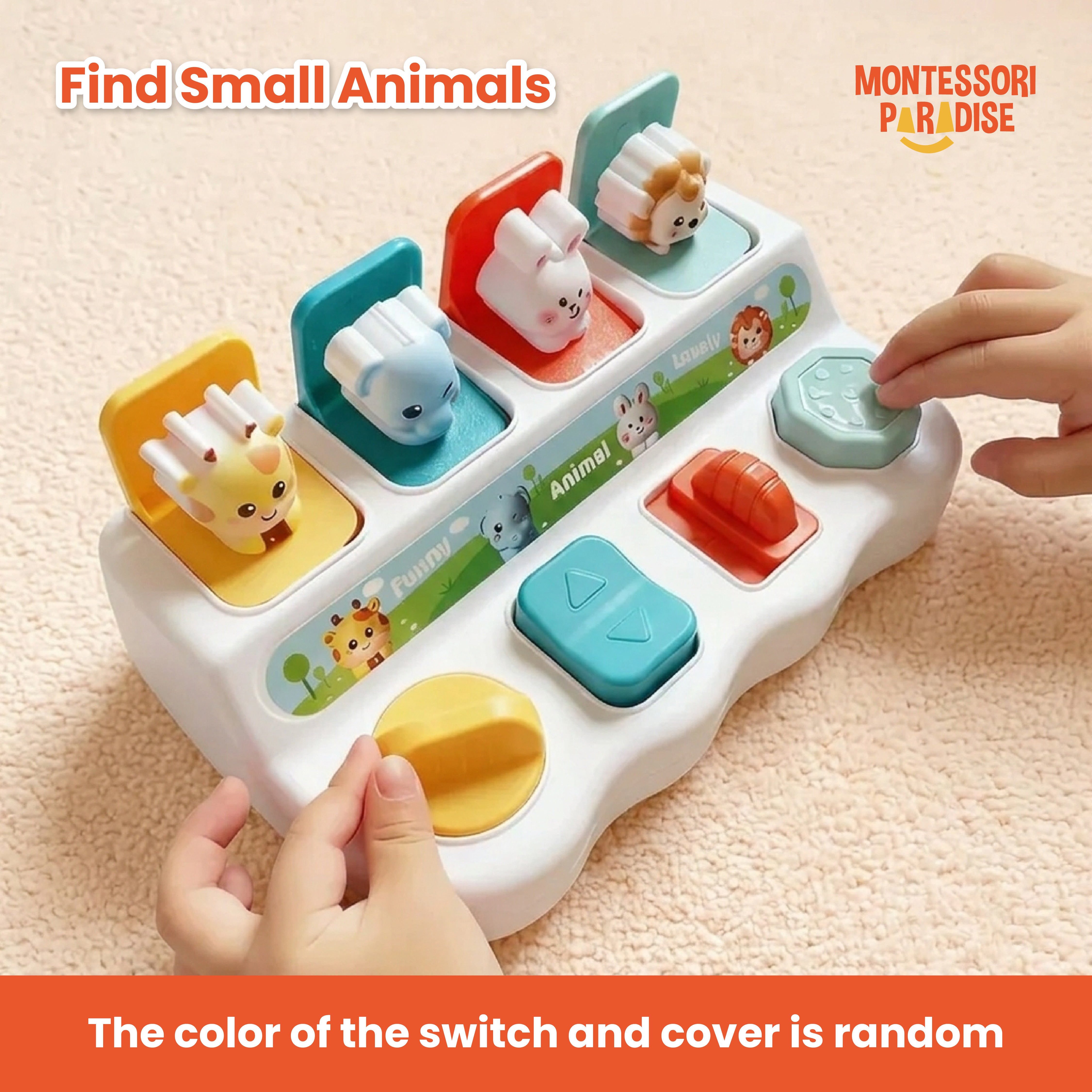 Montessori Discovery Toy