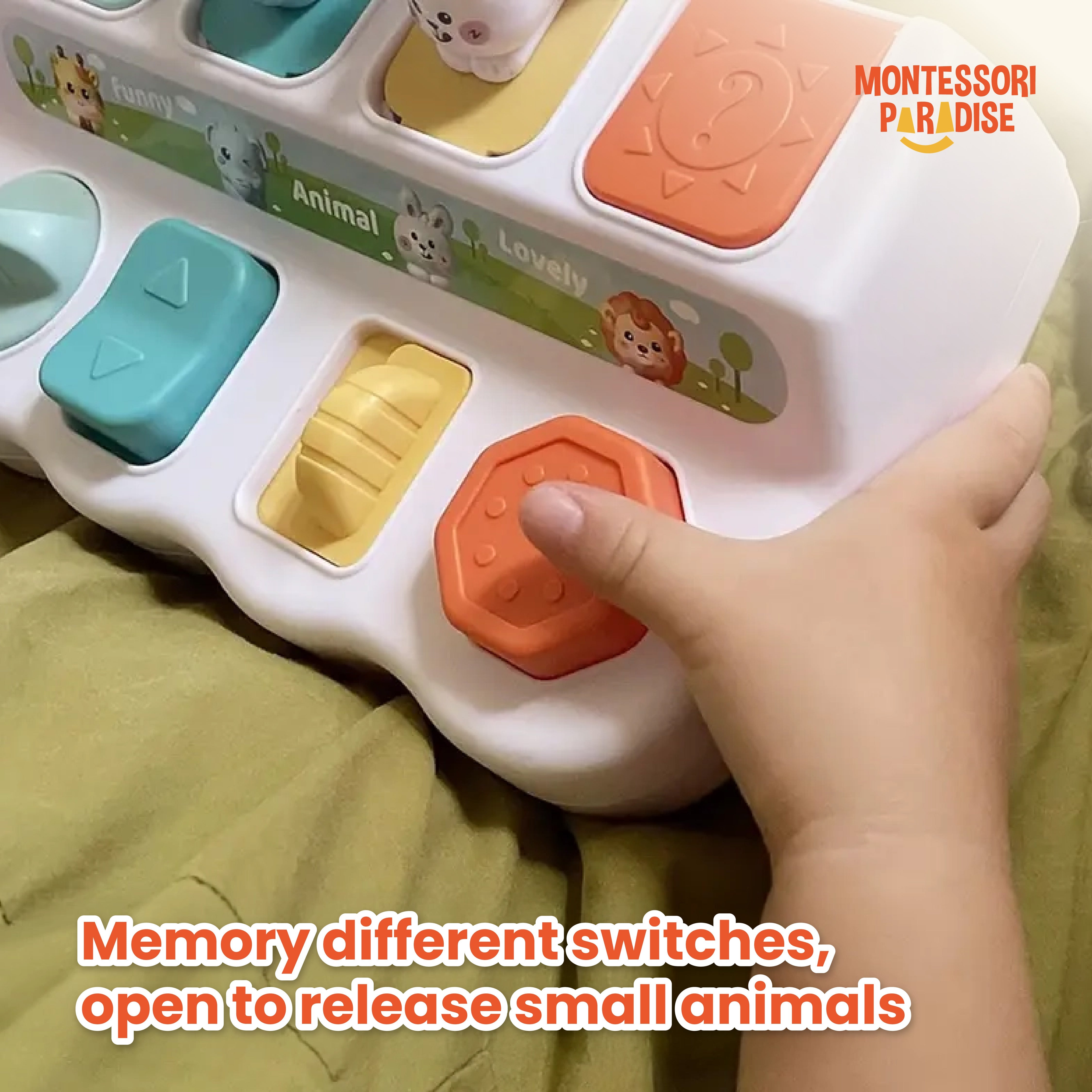 Montessori Discovery Toy