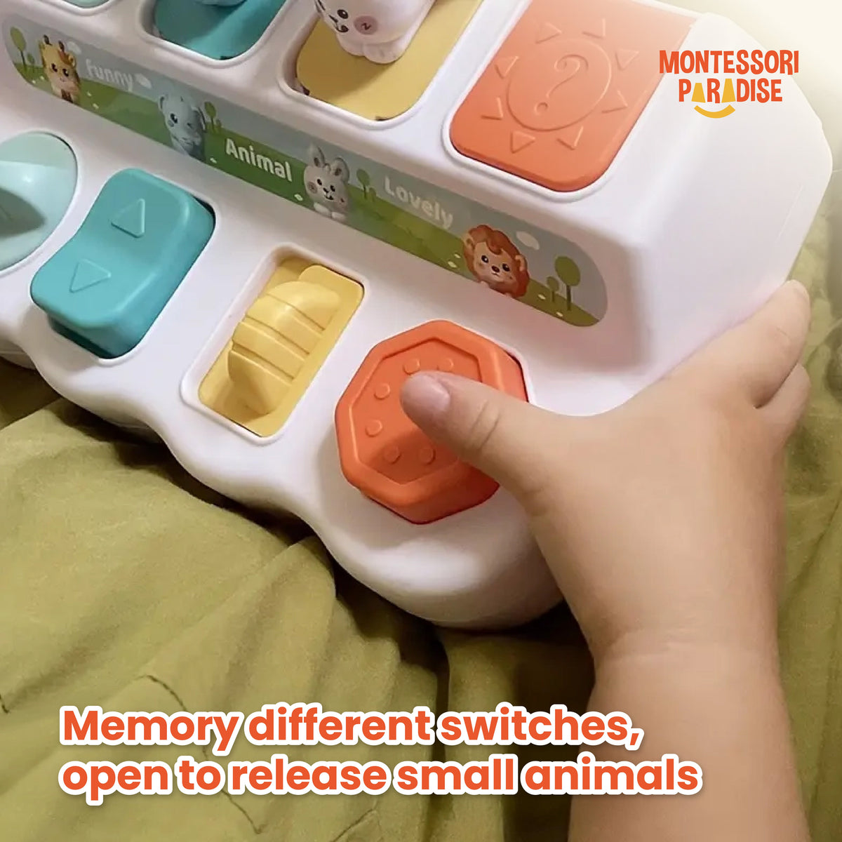 Montessori Discovery Toy